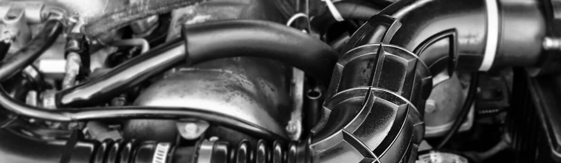 亚成成品四叶草入口