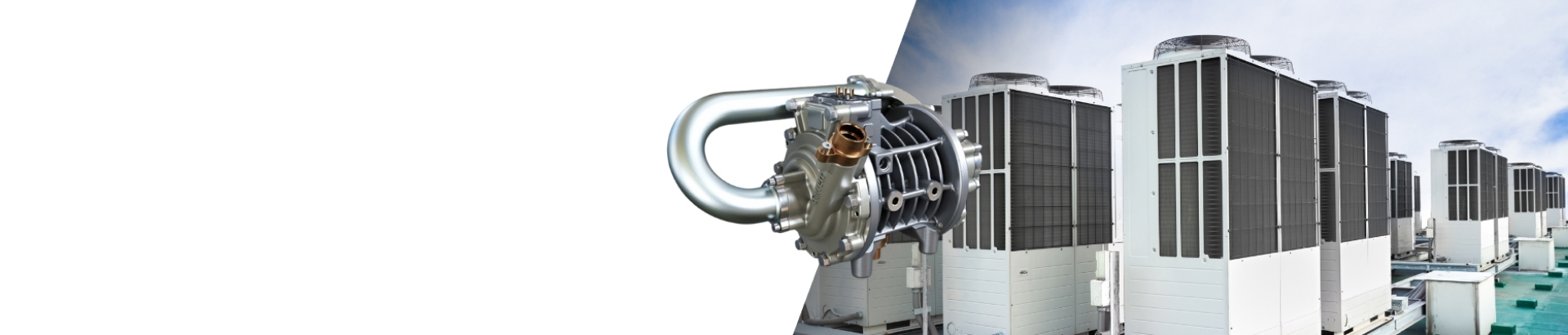 亚成成品四叶草入口