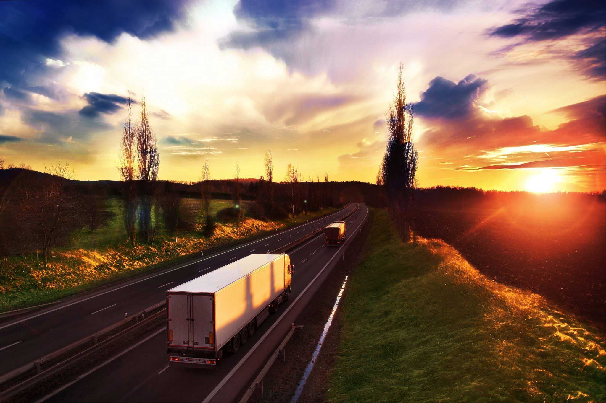 亚成成品四叶草入口