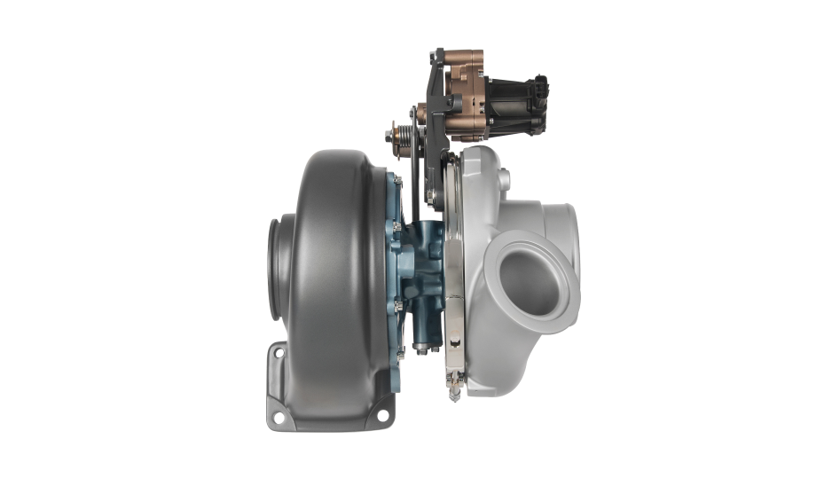 亚成成品四叶草入口