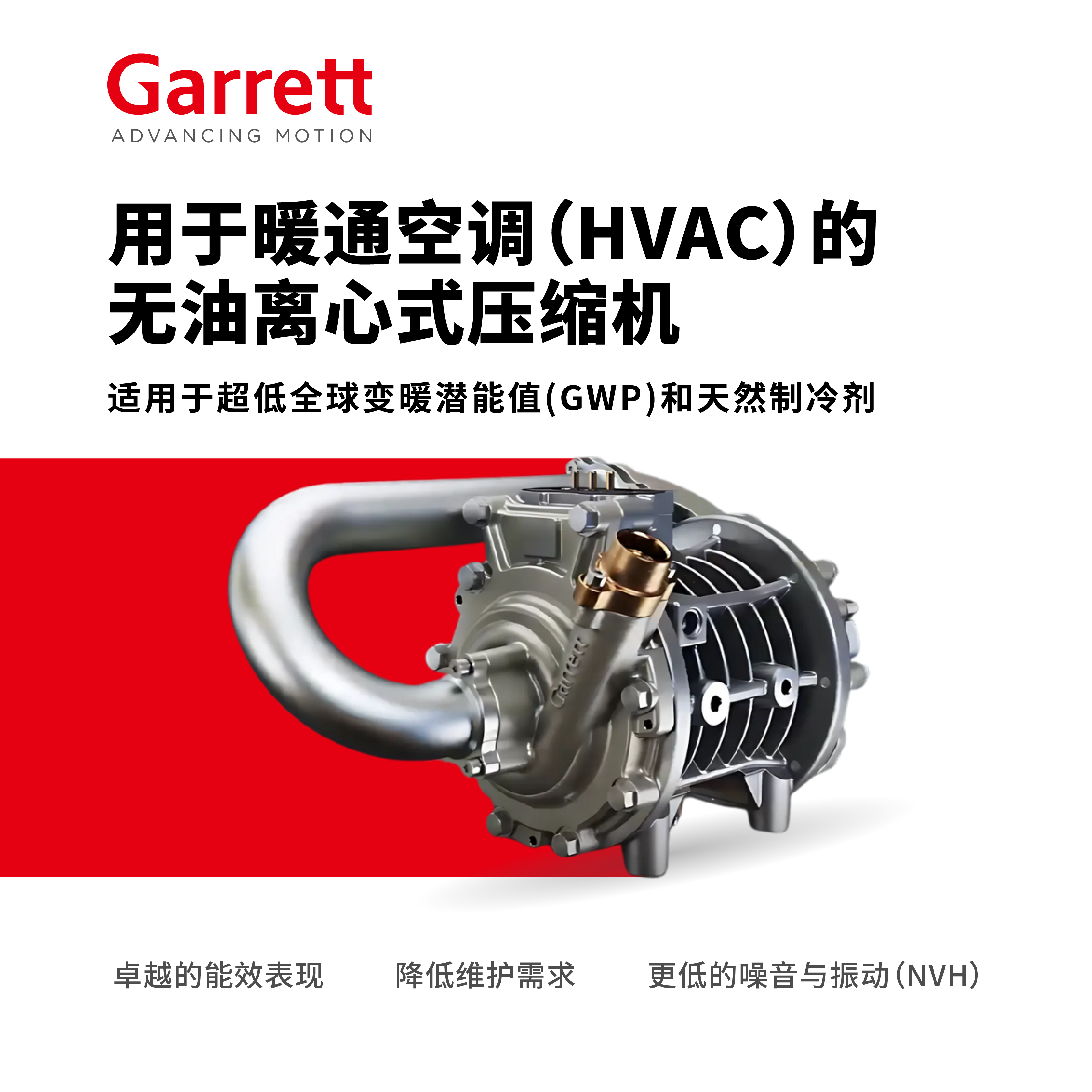 default - 2026-02-04T115728.681.jpg