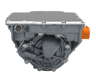 default - 2026-02-25T115158.907.jpg